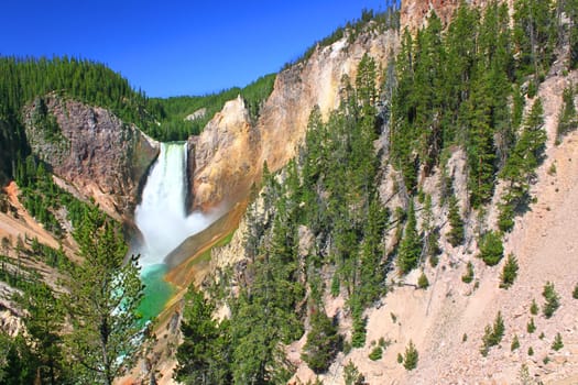 Beautiful summer view of the Lower Falls of the Yellowstone River in Wyoming.