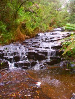 Beautiful rainforest cascade in the Great Otway National Park of southern Victoria, Australia. 