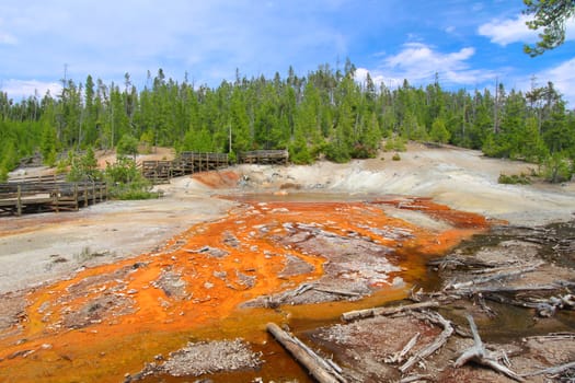 Hot waters flow out of Echinus Geyser of Yellowstone National Park.