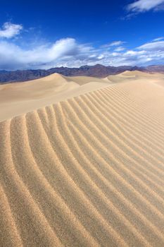 Beautiful wavy patterns in the Mesquite Flat Sand Dunes of Death Valley National Park.