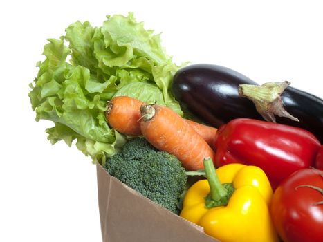 Shopping bag full of fresh vegetables