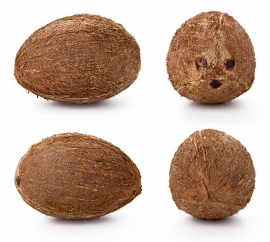 Coconut on white background, studio shots