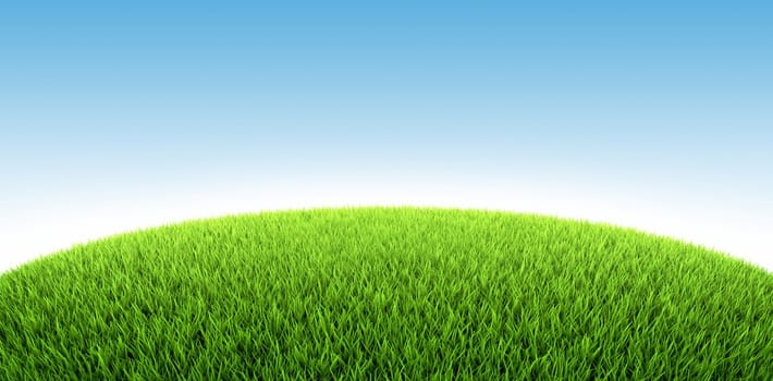 Field of fresh green grass, 3d render