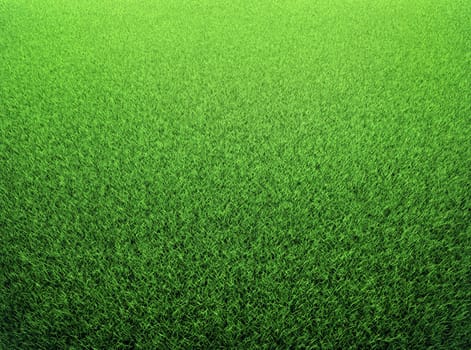 Grass background. Fresh green lawn. 3d render
