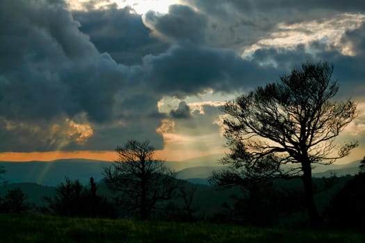 An image of trees and sunrays going through grey clouds