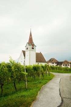 An image of vine and chapel with clock