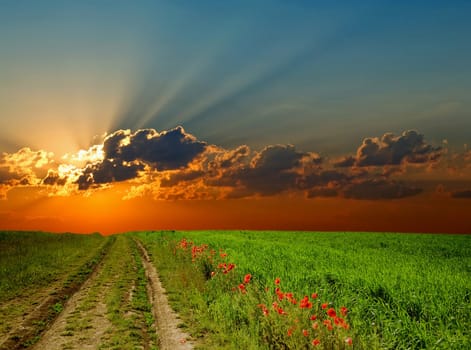 A road amongst field with red poppies