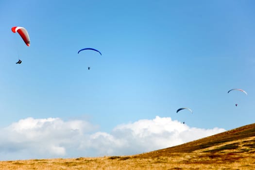 Sport theme: four gliders in the blue sky