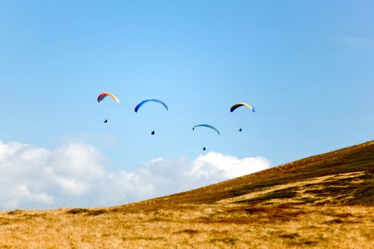 An image of four gliders in the blue sky