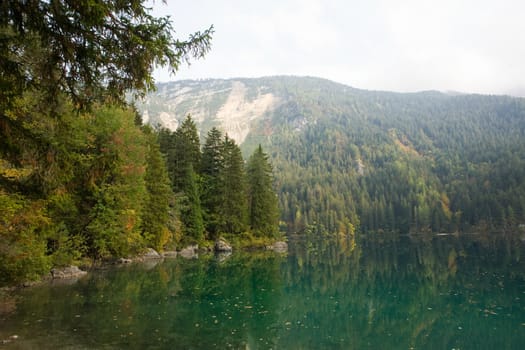 An image of a beautiful forest and a lake