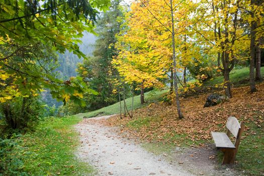 An image of a beautiful autumn park and a bench