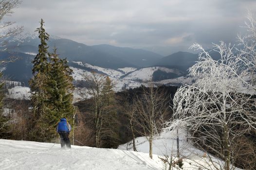 An image of alpine skiing in winter