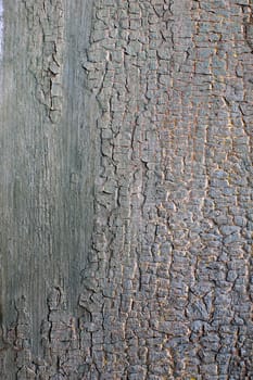 Stock photo: an image of a background of old grey board