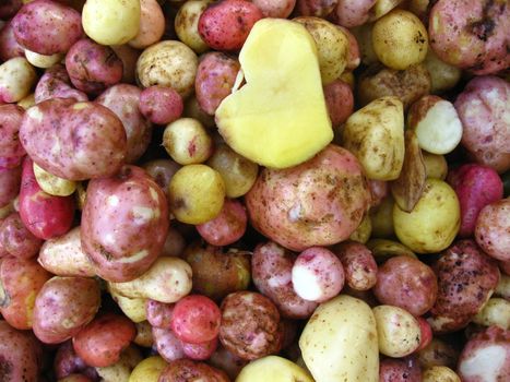 the image of harvest of pile of potatoes