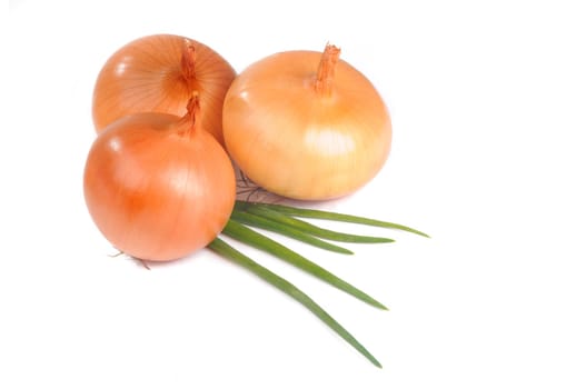 fresh onion isolated on white