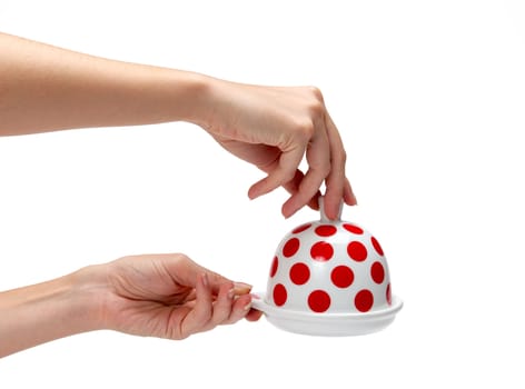 woman's hands holding butter dish isolated over white background