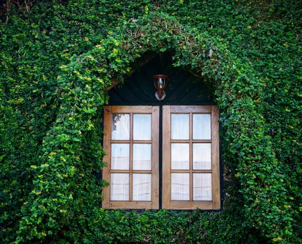 Wooden window at climber house in North of Thailand