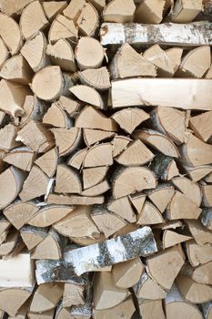 Birch logs are stacked in high woodpile. Background