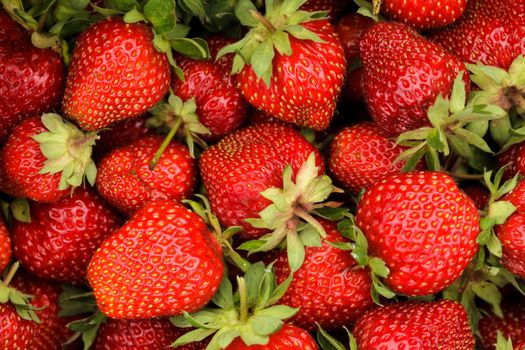 Strawberry berries close up as a background