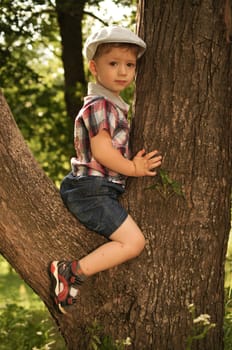 The little boy on walk