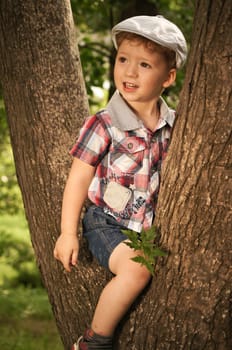 The little boy on walk