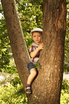 The little boy on walk