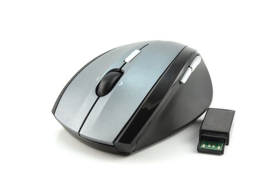 Mouse for computer