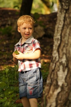 The little boy on walk