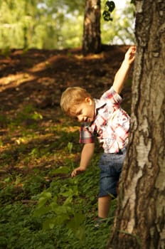 The little boy on walk