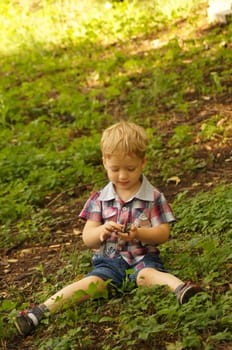 The little boy on walk