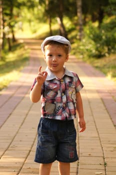 The little boy on walk