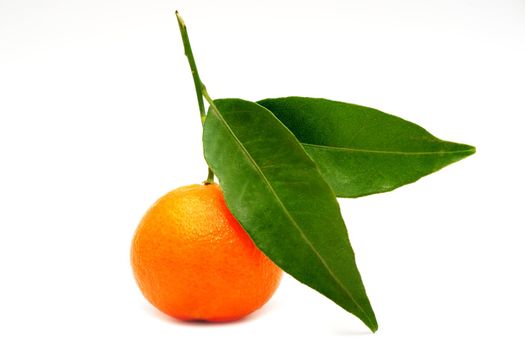An image of an orange mandarin with green leaves