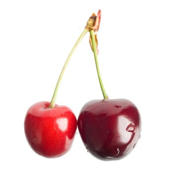An image of two cherries isolated