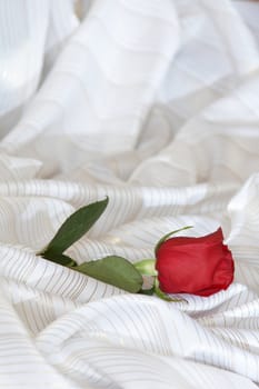 An image of rose on the bed