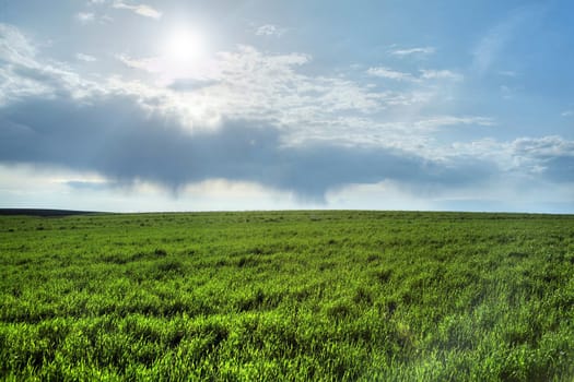 An image of green field and blue sky with clouds