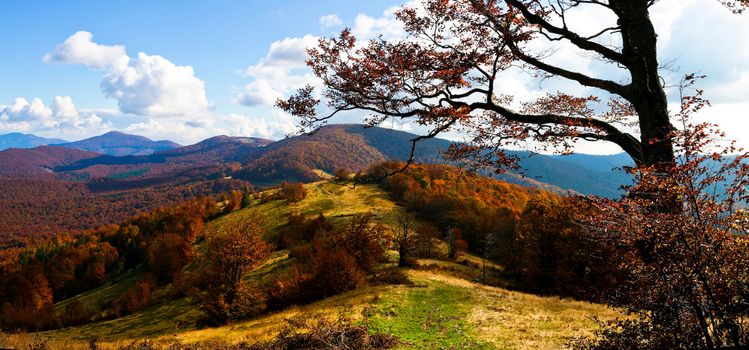 An image of autumn mountains covered with  grass