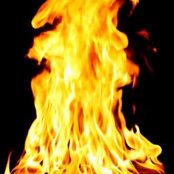 inferno flame fire on black background close up