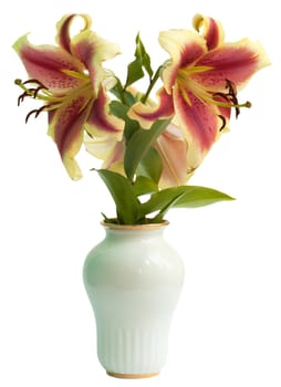 The flowers of a lily in a white porcelain vase, isolated on the white. July, the Central Russia