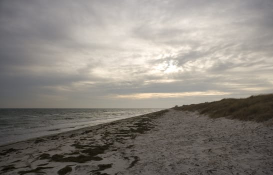 Coastline in an early morning