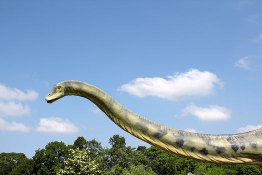 long neck brontosaurus dinosaur