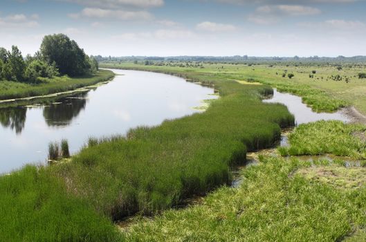 river summer landscape