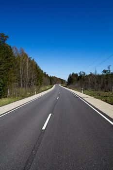 country road through the forest in sunny summer day