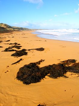 Beautiful sandy beach along the Great Ocean Road of southern Australia.