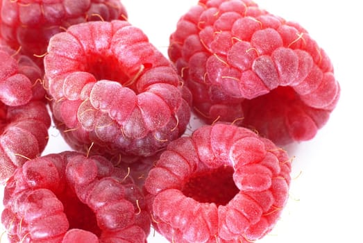 several red raspberries closeup on white background