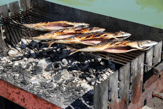 four appetizing grilled mackerel fish on barbecue