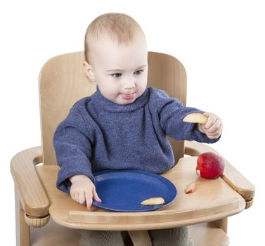 young child eating in high chair isolated in white backgound