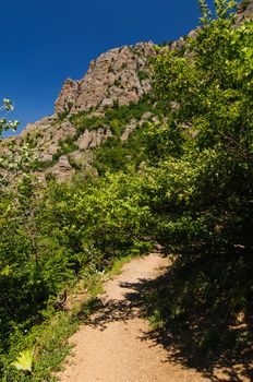 Sunny day on mountain plateau, Crimea, Ukraine