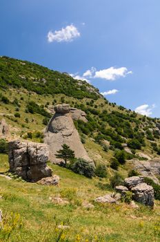 Sunny day on mountain plateau, Crimea, Ukraine