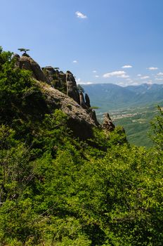 Sunny day on mountain plateau, Crimea, Ukraine