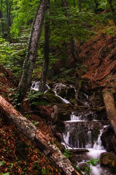 Forest waterfall in motion in Crimea, Ukraine